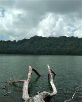 Bawean Tour 3H2M