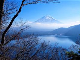 5D4N Tokyo + Mt. Fuji