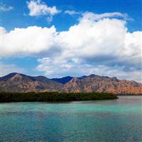 Labuan Bajo Morning Trip - SIC