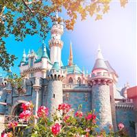 4D Awesome Anaheim Wonderland